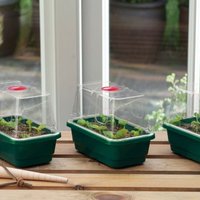3 Mini High Dome Propagator Set Greenhouse Seed Seedling Trays 17cm - Green and Clear