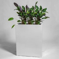 Gloss Polystone High Trough Planter - White