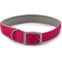 Viva Padded Collar - Raspberry / 6