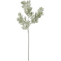Set of 3 Silver Wattle Leaf Artificial Stems - Green