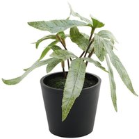Mini Artificial Potted House Plant - Pteris / Plastic, Polyester / Pteris