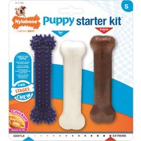 Nylabone Small Breeds Puppy Starter Kit