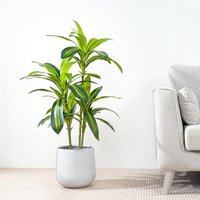 Artificial Plant Agave Tree Indoor House plant 100cm - Green