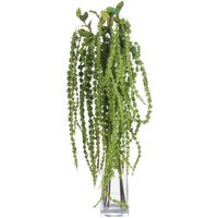 Botanical Filler Amaranthus - Green