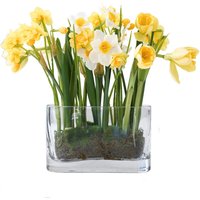 Artificial Narcissus Daffodil Plant in Glass Vase - Yellow