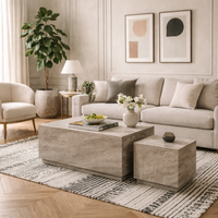 Munkebo Set of 2 Marble Look Coffee Table - Grey