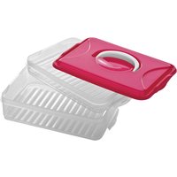 Herrela Hot Pink 2 Tier Food Container - Pink