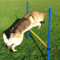 Hurdle Jump - Blue
