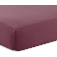 Extra Deep Percale Fitted Sheet 16" - Plum / King