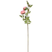 Garden Peony Rose - 75cm - Deep Pink