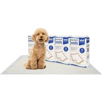 Disposable Puppy Training Pads - 60cm x 89cm - White / 40