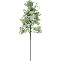 Winter Sprig With Lambs Ear And Wax Flower Arrangement - Green