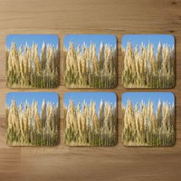 Pampus Grass Designer Coaster Set - Yellow