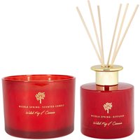 Nicola Spring Scented Candle and Reed Diffuser Set - Wild Fid & Cassis