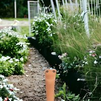 Willy the Worm Plant Water Sensor - Terracotta
