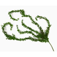 Artificial Hanging Climbing Fig Plant Ficus Pumila - Green