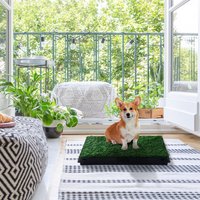 PawHut Large Dog Toilet - Green