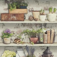 Shades Flower Pots Wallpaper - Grey