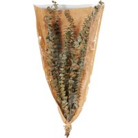 Dried Eucalyptus Bouquet - Green