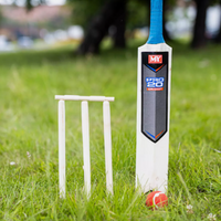 Kids Cricket Set - Brown