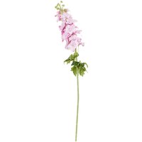Delphinium Stem 82cm - Pink, Cream, or Blue