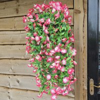 Morning Glory Trailing Flowers with Rattan Wicker Hanging Baskets - Fuchsia & White