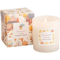 Cinnamon Woods Scented Candle