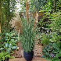 Potted Pampas - Green / 5 Heads