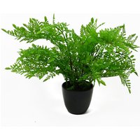Display Ready Artificial Potted Southern Wood Fern - Woodland Fern Black Pot