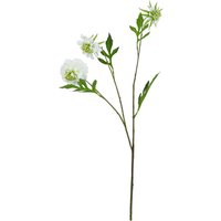 The Natural Garden Collection Scabious - Artificial Flower (Single Stem) - Plastic - L17 x W21 x H65 cm - White