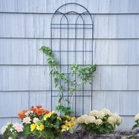 Classic Powder Coated Steel Metal Trellis - Metal