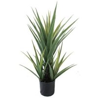 Leaf Design UK Artificial Yukka Tropical House Plant - 70cm Yucca Plant / 70cm / 35cm