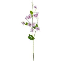 The Natural Garden Collection Sweetpea - Artificial Flower (Single Stem) - Plastic - H61 cm - Purple