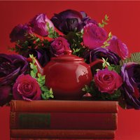 Red 2 Cup Teapot - Red