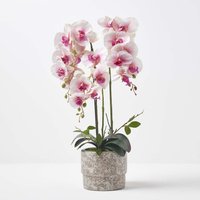 Homescapes Large 64cm Lifelike Pink Artificial Orchid in Grey Cement Pot - Pink