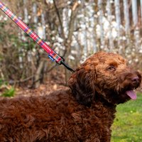 Tartan Dog Lead - Red
