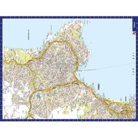 Great Britain A Z Map of Torquay 1000 Piece Jigsaw Puzzle Exclusive - Neutral