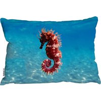 Mediterranean Seahorse Outdoor Cushion - Blue