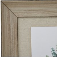 Watercolour Fern Duo In Washed Wood Frame - Brown