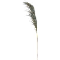 Fiori Blue Tall Pampas Grass Stem - Blue