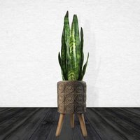 Flowers Composite Planter with Stand - Zandi Flowers