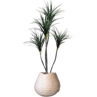 Artificial 150CM Tall Decorative Dracaena Plant - Green