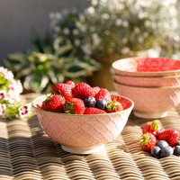Set of 4 KitchenCraft Red and Pink Victorian Style Print Ceramic Bowls - Pink