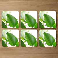 Green Leaf Coaster Set - Green