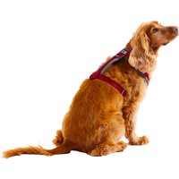 Padded Harness - Pink / Extra Large