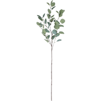 Single Eucalyptus Silver Dollar Stem 90 cm - Green