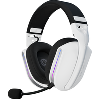 Polaris Multiplatform Wireless Gaming Headset - White