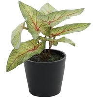 Mini Artificial Potted House Plant - Light Green Syngonium / Light Mini Syngonium / Plastic, Polyester