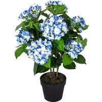 Homescapes Artificial Blue Hydrangea in Black Pot, 70 cm - Blue