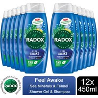 Radox Body Wash and Shampoo 2in1 Feel Awake Men, 450ml - 12